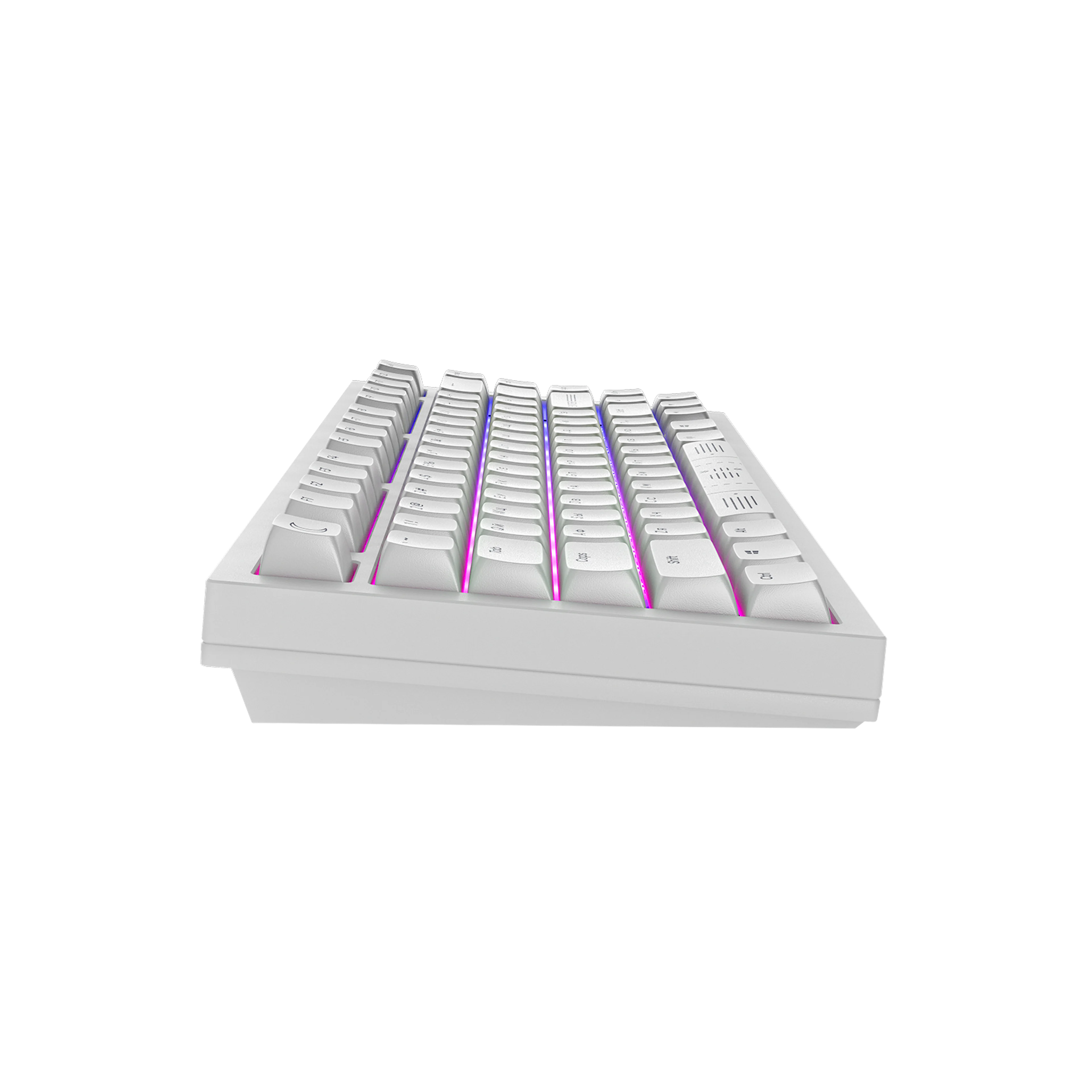 CM81 Zeno